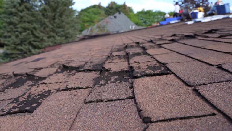 Best Emergency Roof Repair Services  in Kekoskee, WI