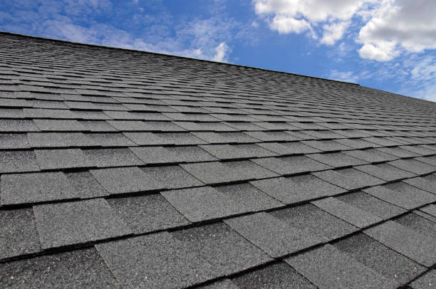 Best Roof Moss and Algae Removal  in Kekoskee, WI