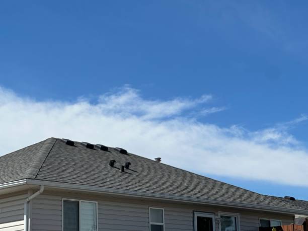 Best Solar Panel Roofing Installation  in Kekoskee, WI